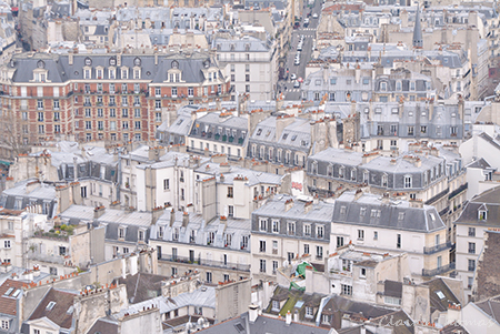 Notre Dame rooftops
